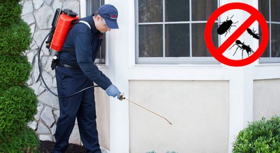 Sulusaray Dezenfeksiyon böcek ilaçlama ve haşere kontrolü — ilaclama-tr.com